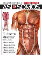 Así Somos - El cuerpo humano